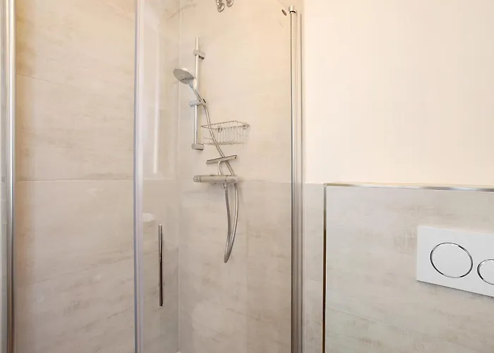 Bergwiese 公寓 施马伦贝格